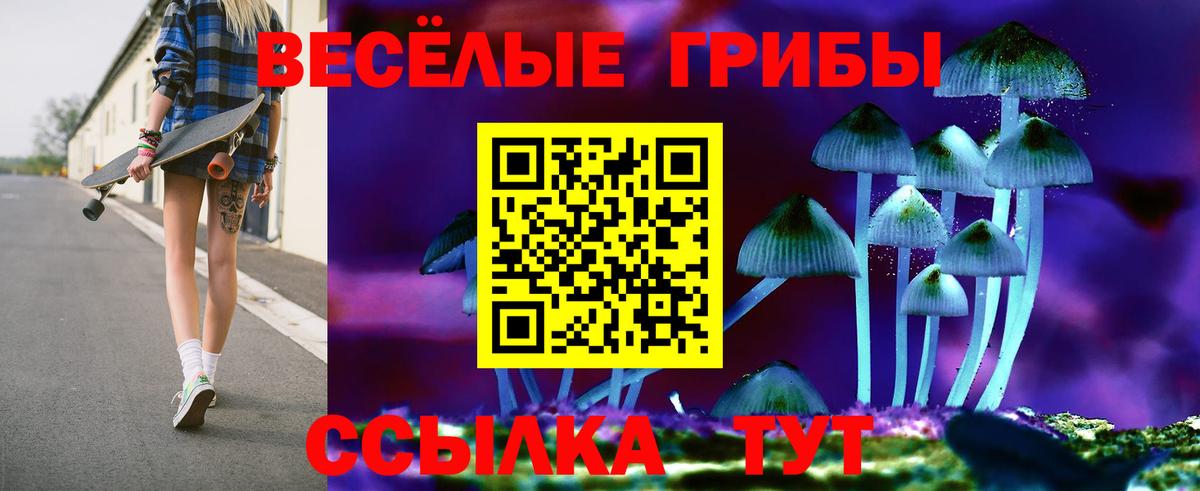 Псилоцибиновые грибы GOLDEN TEACHER  Псилоцибиновые грибы Psilocybe  Коммунар  Вход с VPN 